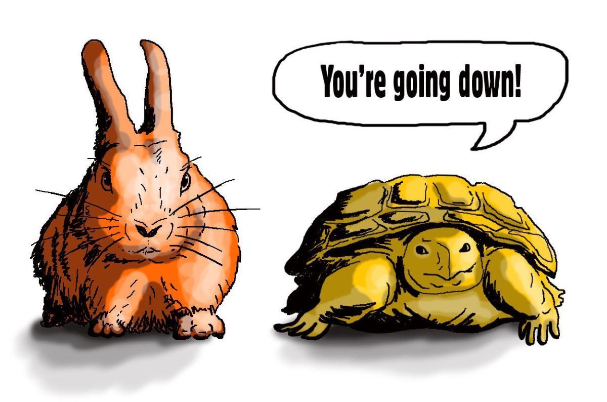 tortoise-hare-going-down Tortoise to hare:
